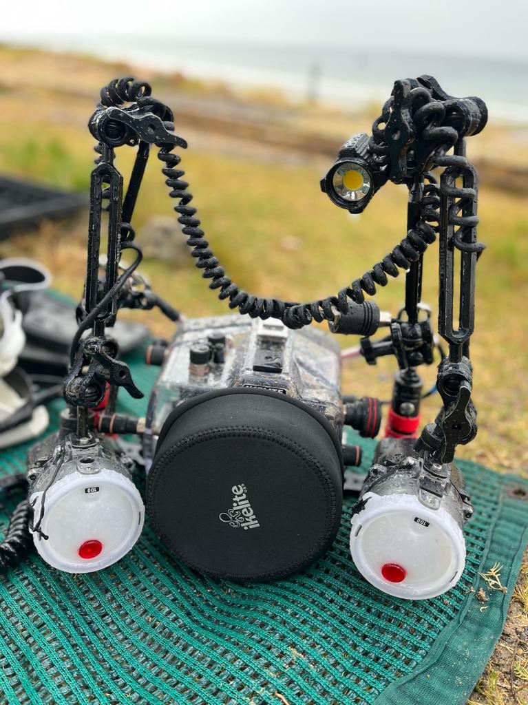 Canon 750D with Ikelite underwater setup