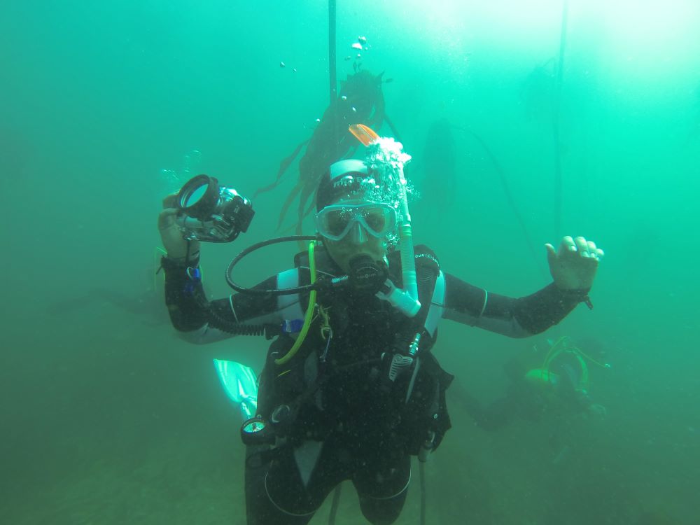 Scuba diving SharkAlley